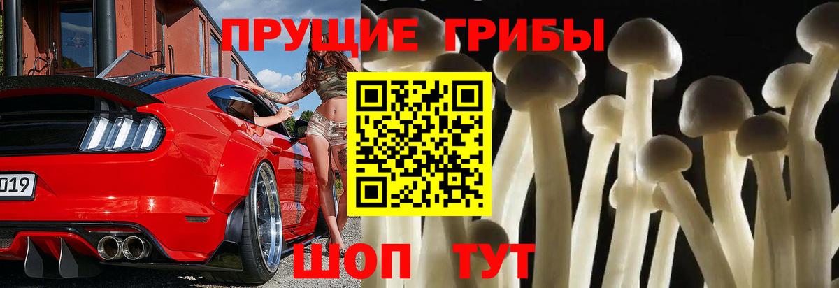 Вязники  как найти закладки  Псилоцибиновые грибы Magic Shrooms  Вход с VPN  Галлюциногенные грибы GOLDEN TEACHER 